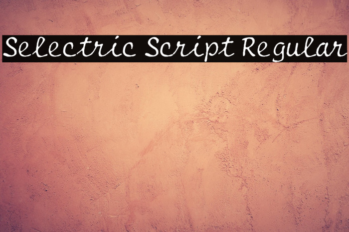 Selectric Script Regular Example 2