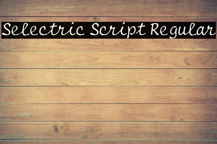 Selectric Script Regular Example 3
