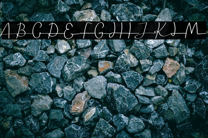 Seledina Free Trial Example 1