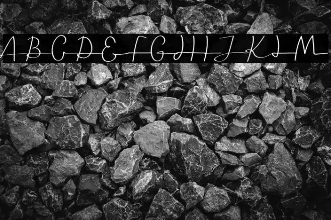 Seledina Free Trial Caratteri examples