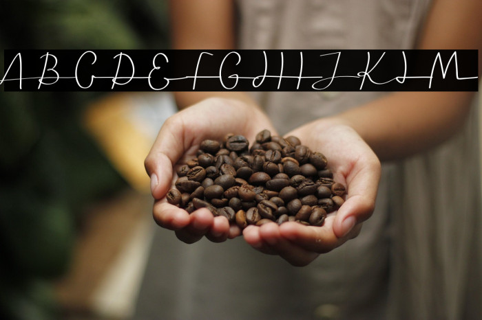 Seledina Free Trial Example 3