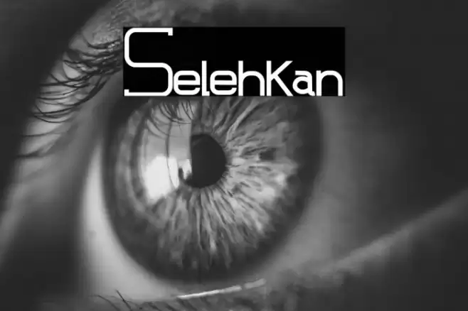 Selehkan 字体 examples