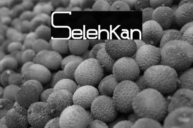 Selehkan 字体 examples