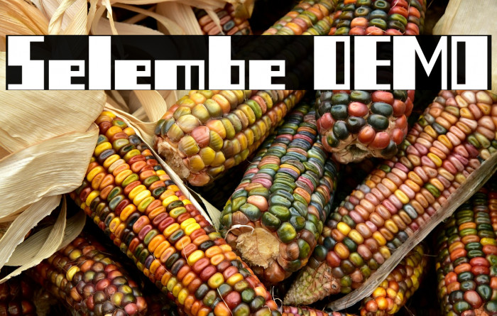 Selembe DEMO Example 1