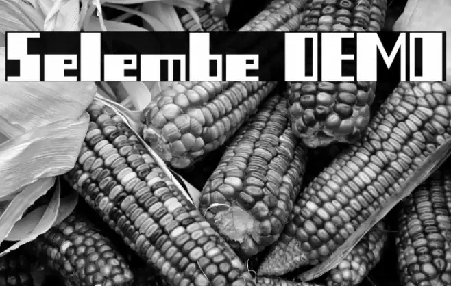 Selembe DEMO Font examples