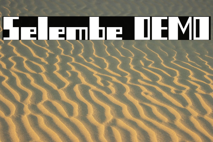 Selembe DEMO Example 3