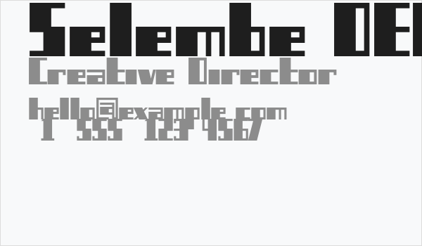 Selembe DEMO Business Card