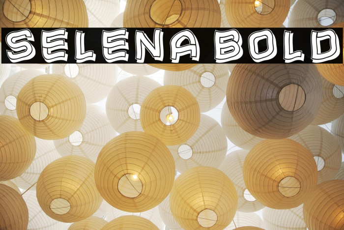 Selena Bold Example 1
