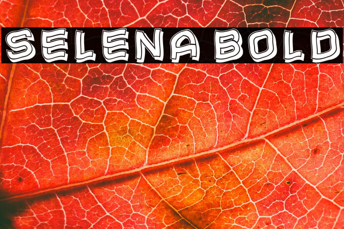 Selena Bold Example 2
