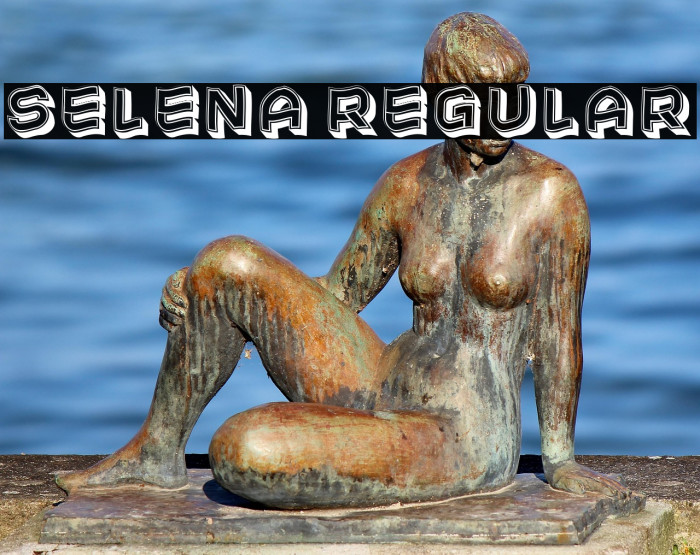 Selena Regular Example 1