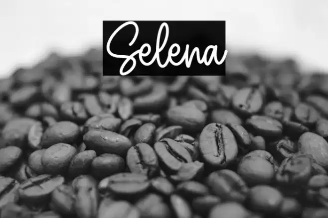 Selena خط examples