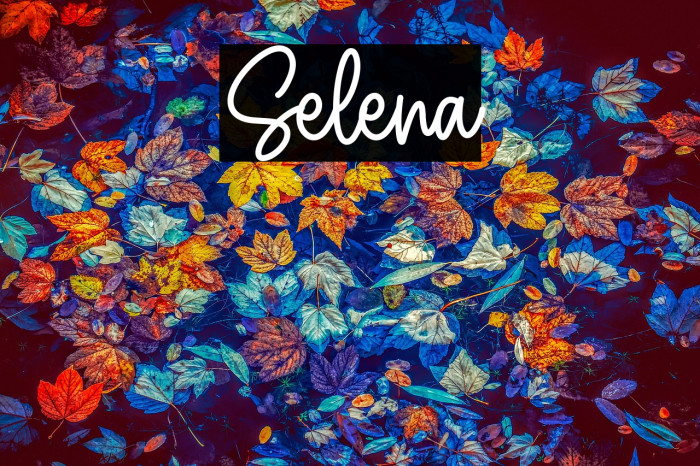 Selena Example 2