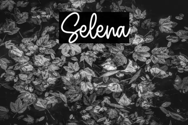Selena خط examples