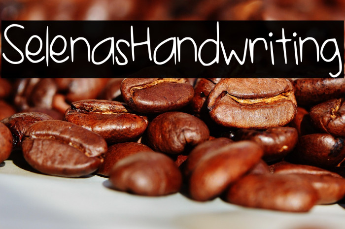 SelenasHandwriting Example 1