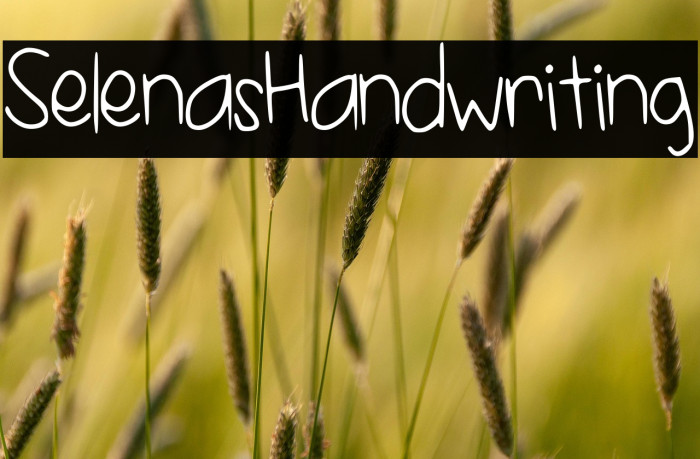 SelenasHandwriting Example 2