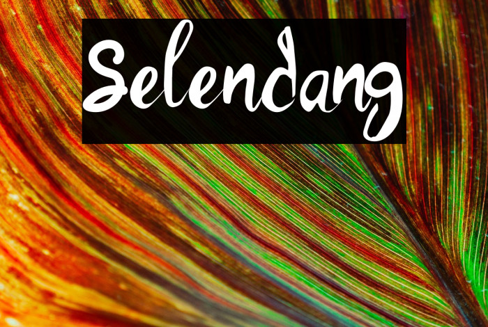Selendang Example 2