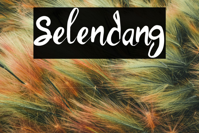 Selendang Example 3