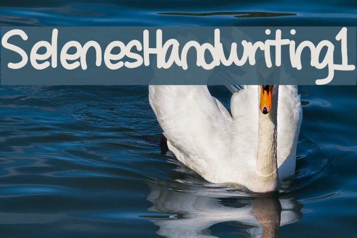 SelenesHandwriting1 Font examples