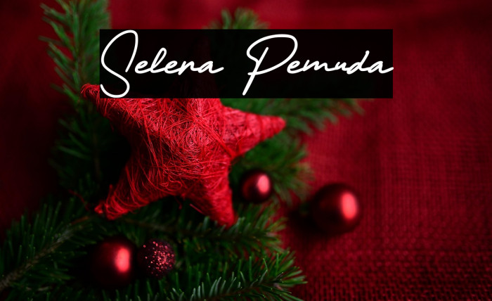 Selera Pemuda Example 1