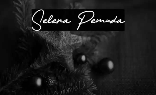 Selera Pemuda Font examples