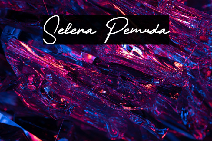 Selera Pemuda Example 2