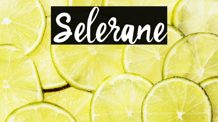 Selerane Example 1