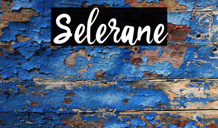 Selerane Example 2