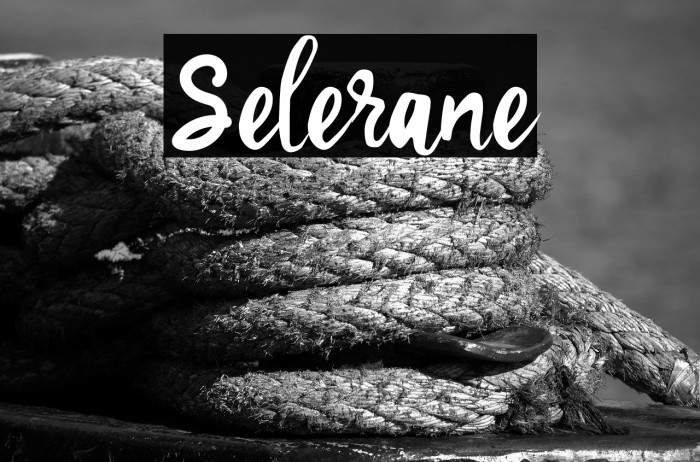 Selerane Example 3