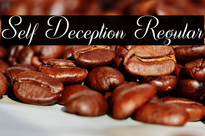 Self Deception Regular Example 1