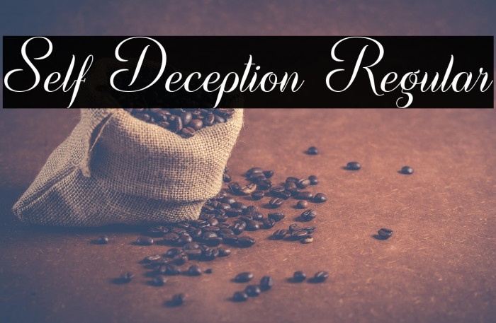 Self Deception Regular Example 2