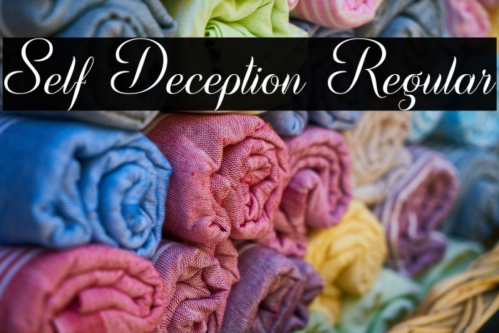 Self Deception Regular Example 3