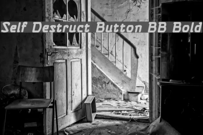 Self Destruct Button BB Bold Font examples