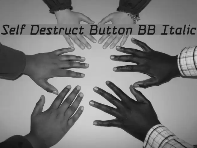 Self Destruct Button BB Italic Polices examples