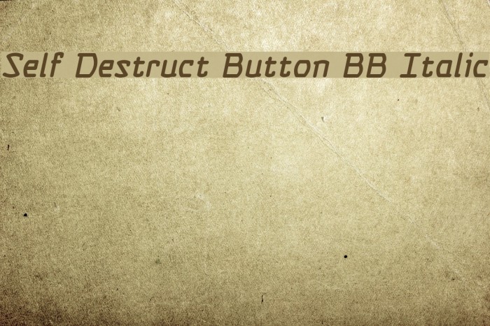 Self Destruct Button BB Italic Font examples