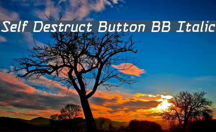 Self Destruct Button BB Italic Font examples