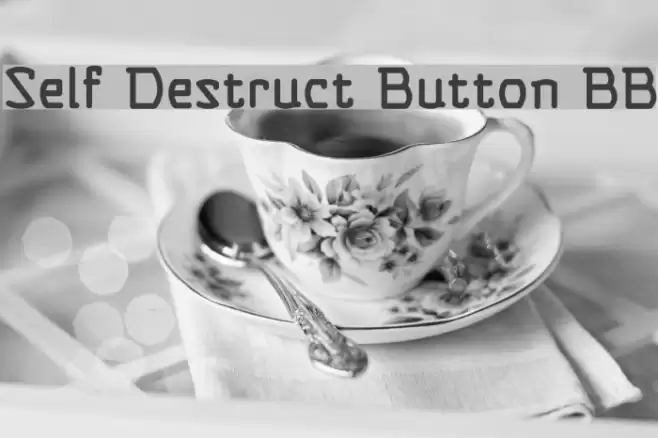 Self Destruct Button BB Polices examples