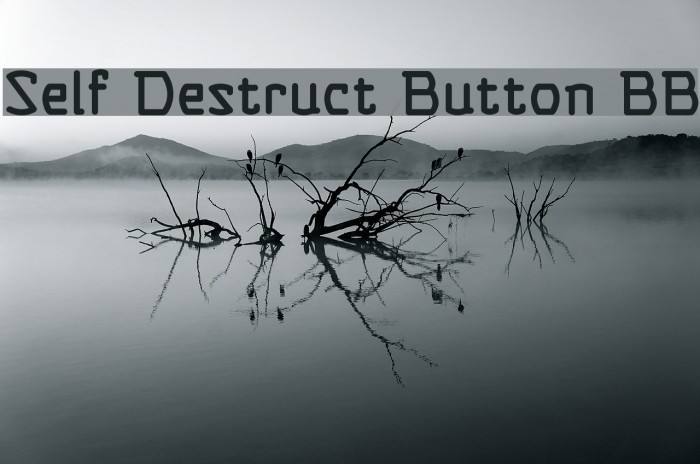 Self Destruct Button BB Polices examples