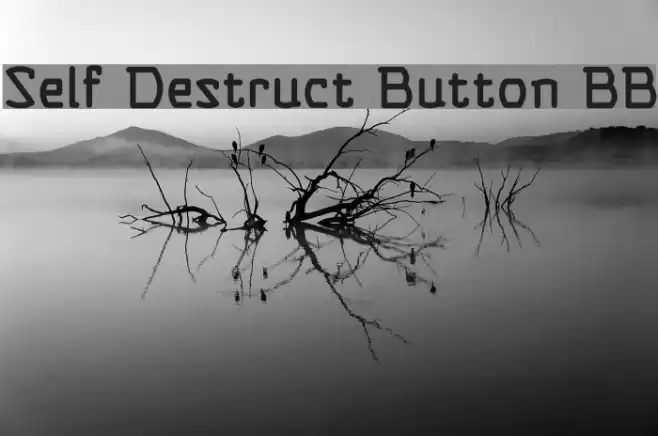 Self Destruct Button BB Polices examples