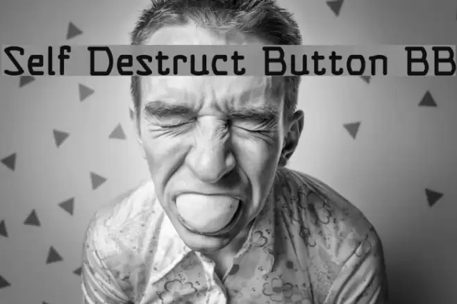 Self Destruct Button BB Polices examples