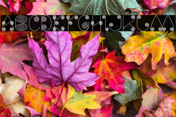 Self Region Example 3