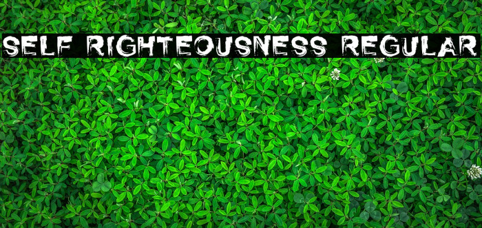 Self Righteousness Regular Font examples