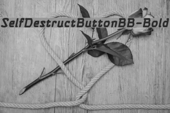SelfDestructButtonBB-Bold Font examples