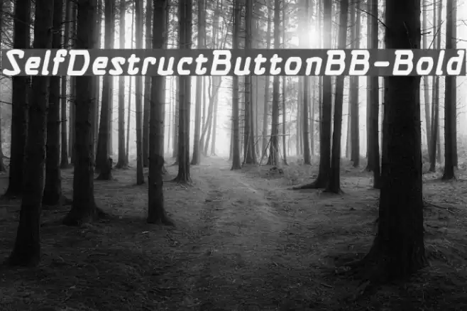 SelfDestructButtonBB-Bold Font examples