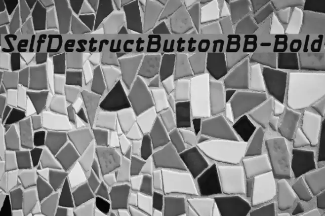SelfDestructButtonBB-Bold Font examples