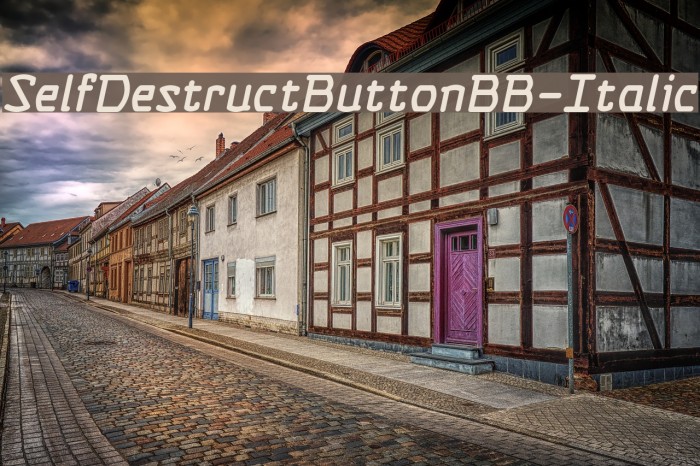 SelfDestructButtonBB-Italic Font examples
