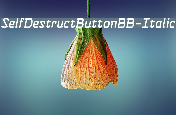 SelfDestructButtonBB-Italic Font examples
