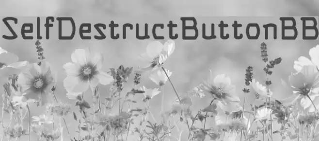 SelfDestructButtonBB Font examples