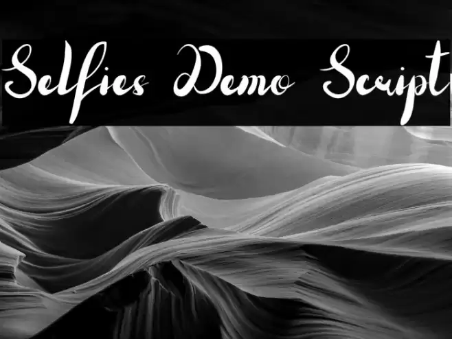 Selfies Demo Script Font examples