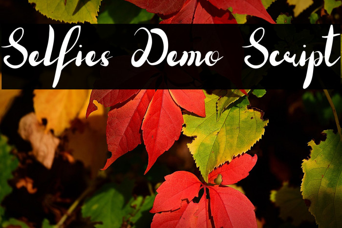 Selfies Demo Script Example 2