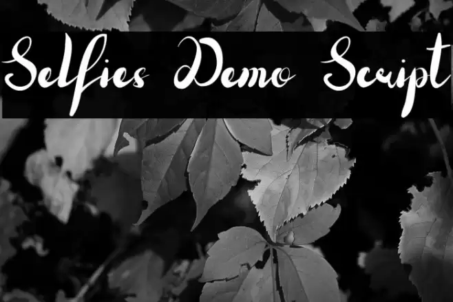 Selfies Demo Script Font examples